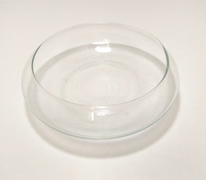 Contemporary & Decorative Flat Clear Glass Terrarium Bowl