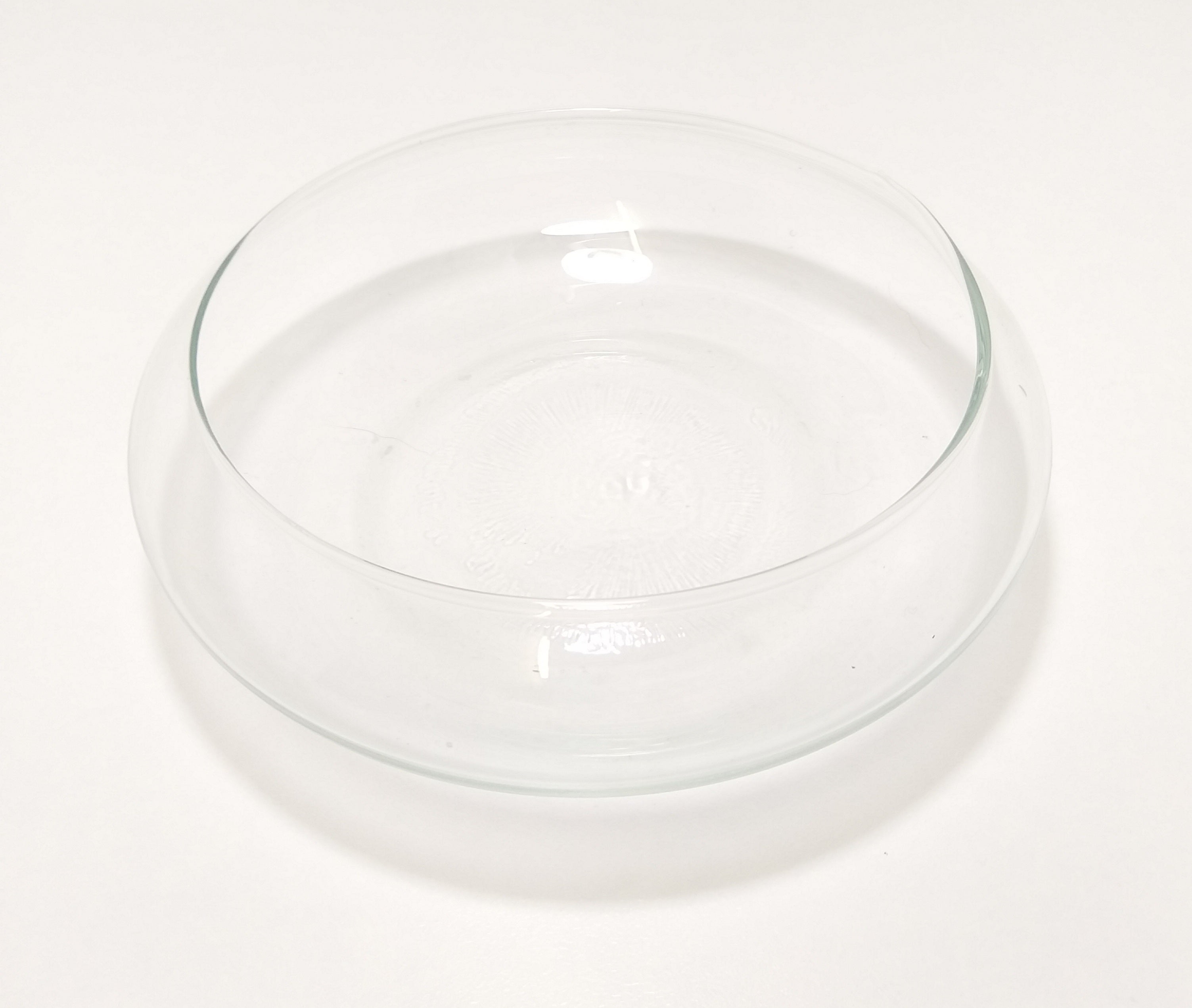 Contemporary & Decorative Flat Clear Glass Terrarium Bowl