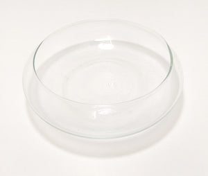 Contemporary & Decorative Flat Clear Glass Terrarium Bowl